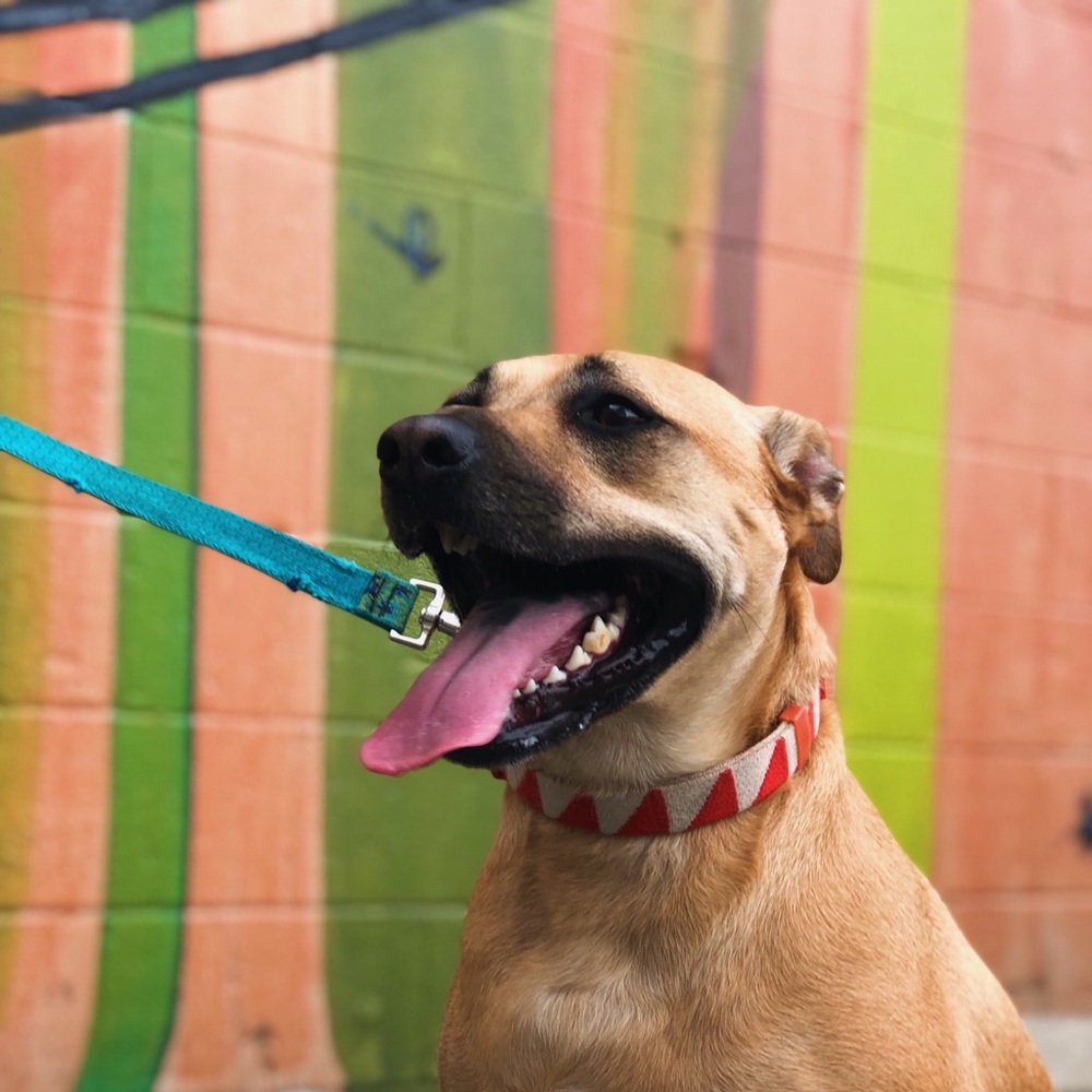 Meet your Posher, Emma